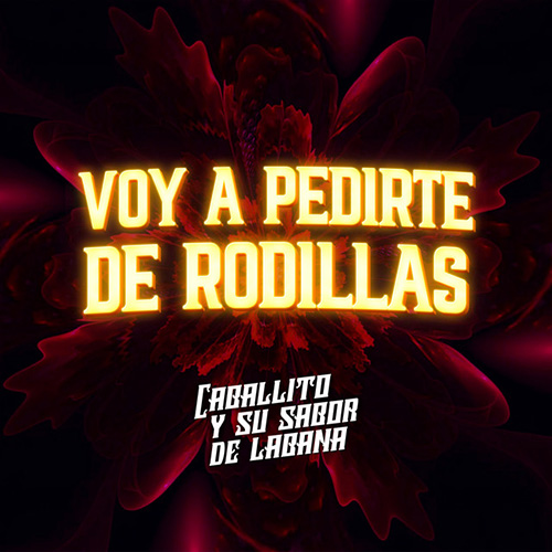 CABALLITO Y SU SABOR DE LA HABANA - VOY A PEDIRTE DE RODILLAS